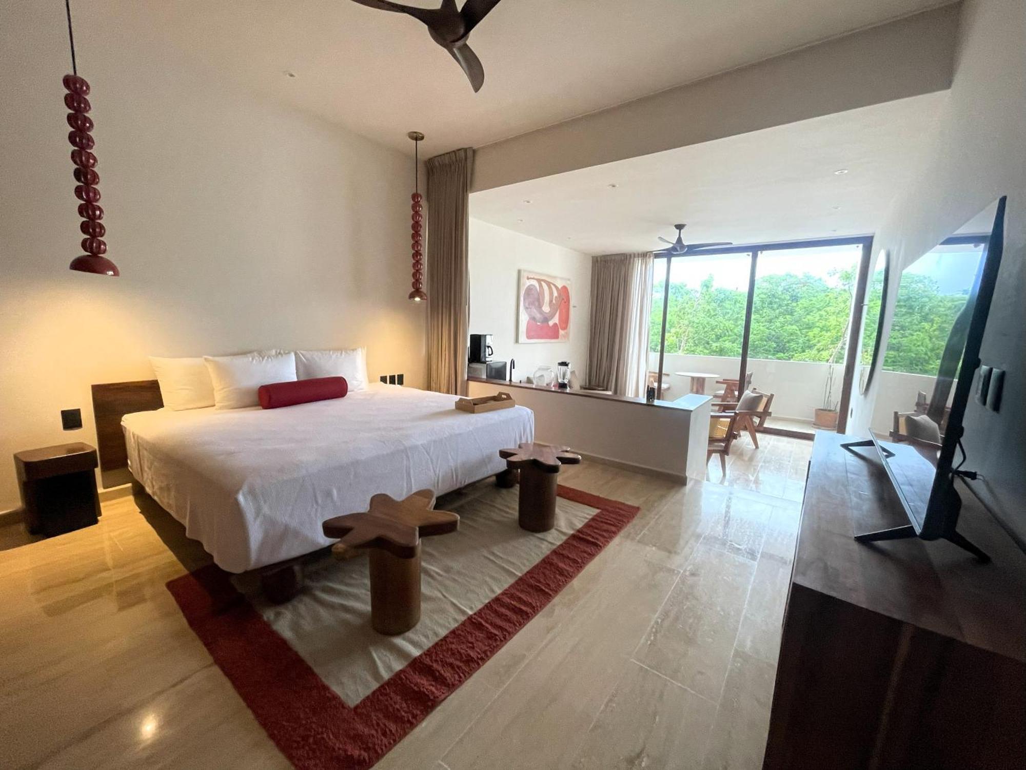 Departamento Mexico Contemporaneo Apartment *